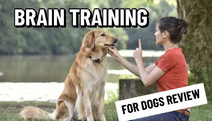 Brain Training for Dogs Review