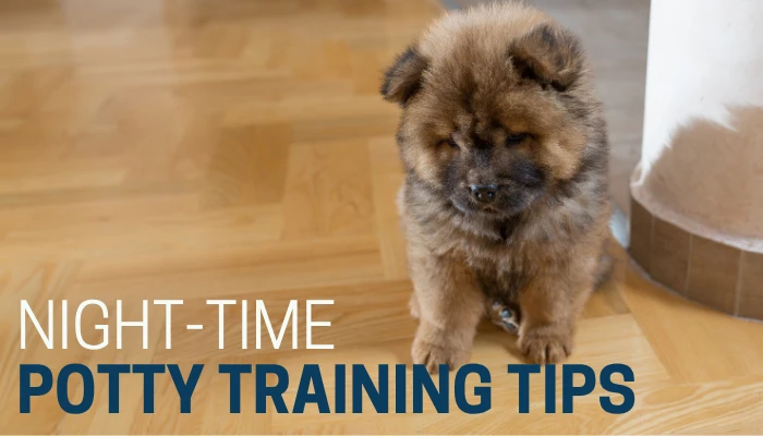 Night-Time Potty Training Tips