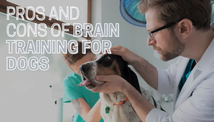 Pros and Cons of Brain Training for Dogs