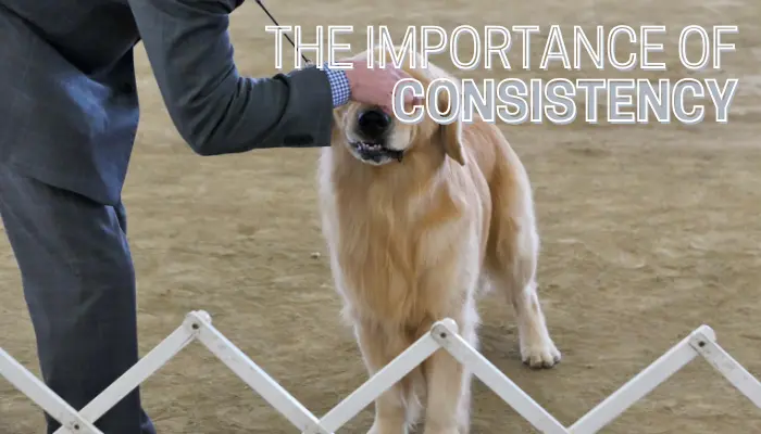 The Importance of Consistency