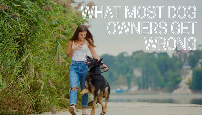 What Most Dog Owners Get Wrong