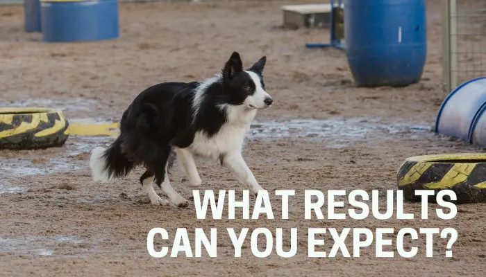 What Results Can You Expect?