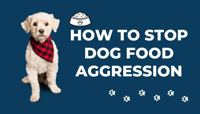 How To Stop Dog Food Aggression