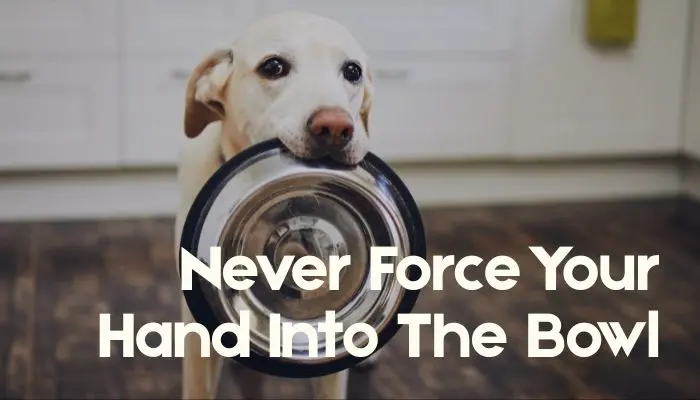 Never Force Your Hand Into The Bowl
