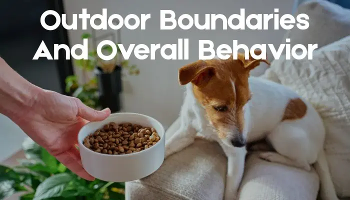 Outdoor Boundaries And Overall Behavior