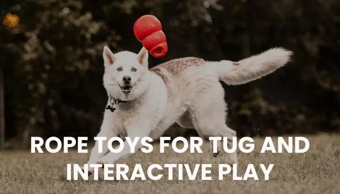 Rope Toys For Tug And Interactive Play