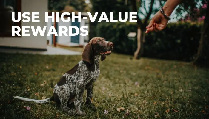 Use High-Value Rewards