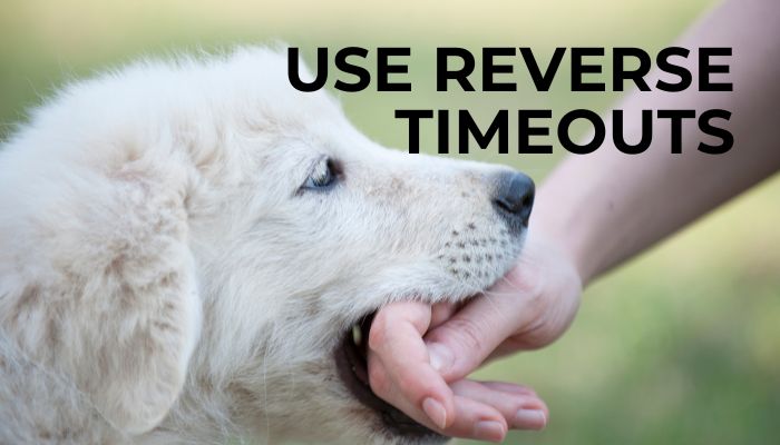 Use Reverse Timeouts