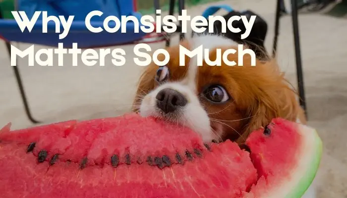 Why Consistency Matters So Much