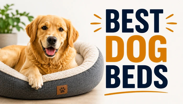 Best Dog Beds: How to Choose the Perfect Bed for Your Dog
