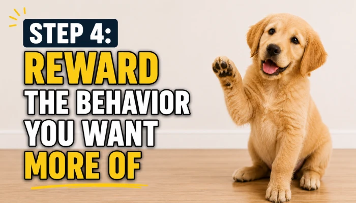Step 4: Reward the Behavior You Want More Of