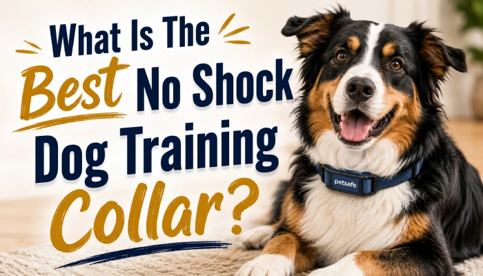 What Is The Best No Shock Dog Training Collar? The Complete Buyer’s Guide for Humane Dog Training